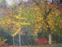 /album/cuadrosinagp3/a05-oto%c3%b1o-jpg/