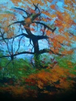 /album/cuadrosinagp3/img-0768-jpg/