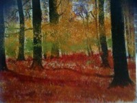 /album/cuadrosinagp3/a19-bosque-jpg/