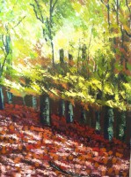 /album/cuadrosinagp3/hayedo-jpg/