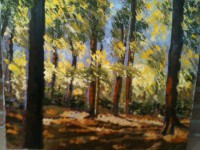 /album/cuadrosinagp3/hayedo-2-jpg/