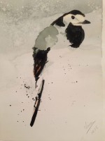 /album/cuadrosinagp3/pajaro-jpg/