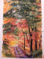 /album/cuadrosinagp3/camino-otonal-jpg/