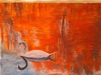 /album/cuadrosinagp3/cisne-jpg/